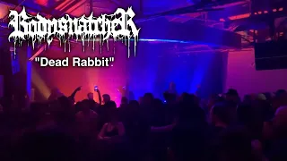Bodysnatcher - Dead Rabbit - LIVE @ Warehouse Live