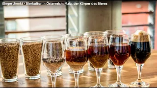 Eingeschenkt – Bierkultur in Österreich: Malz, der Körper des Bieres