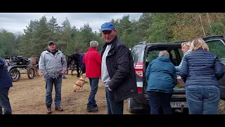 KOETSENTOCHT - Schaffen   Sint-Hubertus viering zondag6nov2022