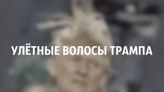 Улетные Волосы Трампа. Donald Trump's Hair Flies Away. President of USA. США. Прикол