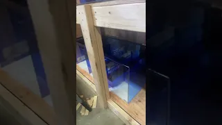 New 225 Gallon Fish Tank From Truvu Aquariums
