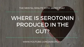 Where Is Serotonin Produced? | Regulating Hormones That Make You Happy