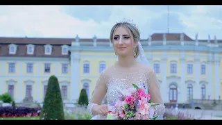 Mazen & Jalila Wedding Clip //HD/4K// By Diyar Video