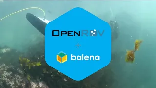 OpenROV + balena