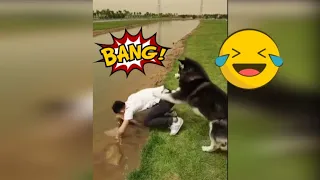 Funniest Animals   Best Of The  Funny Animal Videos #25