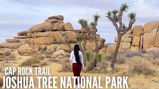 Joshua Tree National Park | Cap Rock Trail | Short Hike