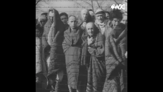 Holocaust Denial and Distortion on Social Media