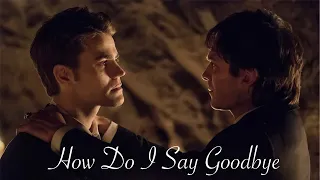 Stefan and Damon Salvatore | How Do I Say Goodbye