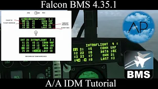 Falcon BMS - A/A IDM Data Link Tutorial | Not Link 16