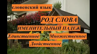 Словенский язык. Род слова. Именительный падеж. Один, два и много.