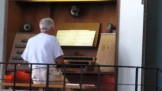 Орган в Пицунде