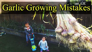 Common Garlic Growing Mistakes - And How To Fix Them!