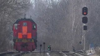 Любятовская ж/д развилка, поезда на псковском ж/д узле. Разный подвижной состав