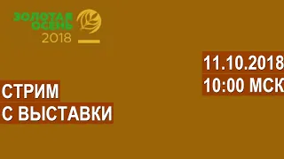 Стрим с выставки Золотая Осень-2018. Мясной и молочный КРС, лошади, овцы, козы, птица