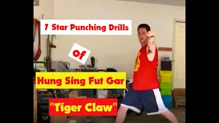 7 Star Punching Drills of Hung Sing Fut Gar