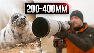 Canon EF 200-400mm f/4L IS USM Lens | In Depth Review