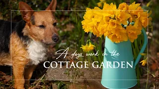 An Irish Cottage Garden | Spring Garden Jobs | Visit to the Vets | Slow Living