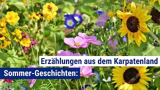 Sommer-Geschichten: Erzählungen aus dem Karpatenland | Podcast Karpatenfunk