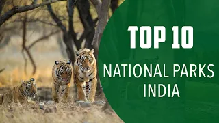 Top 10 Best National Parks to Visit in India - English