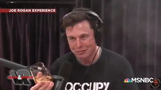 Does ELON Musk Smokes Weed?