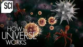 The Invisible Microcosmos | How the Universe Works