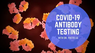 COVID-19 Antibody Testing & Antibodies - Doctor explains (A Beginner's Guide!)