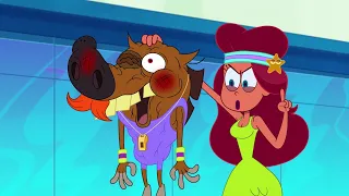 Zig & Sharko | FITNESS SESSION (S03E38) BEST CARTOON COLLECTION | New Episodes in HD