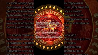 Стрелец Неделя - 29 апр. - 5 май 2024