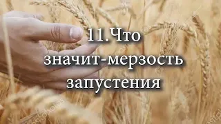 11 Что значит мерзость запустения