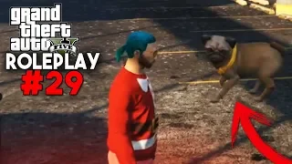 GTA V ROLEPLAY #29 NUEVA CASA DEL PARTNER Y MASCOTA VOLADORA!!