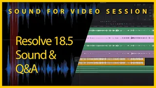 Sound for Video Session — DaVinci Resolve Fairlight 18.5 & Q&A