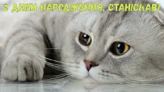 З Днем народження, Станіслав! (Котики)