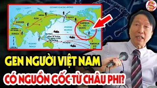 Cả Lịch Sử Việt Nam Ngỡ Ngàng Khi Biết Nguồn Gốc Thực Sự Của Người Việt Nam #vstt