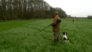 Treibjagd am Niederrhein