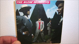 Blow Monkeys - This is your life (1988 Long)