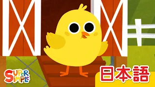 ５わのヒヨコ「Five Little Chicks」| こどものうた |  Super Simple 日本語