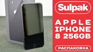 Смартфон Apple iPhone 8 256GB Space Grey распаковка (www.sulpak.kz)