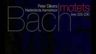 J. S. Bach - Six Motets BWV 225-230 - P. Dijkstra