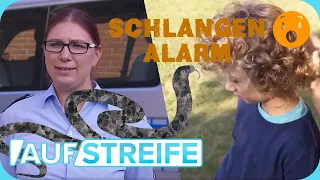 Kind SCHLÄGT ZU! Wo ist die Schlange?! 🐍 Große Aufregung nach Raubüberfall! | Auf Streife | SAT.1