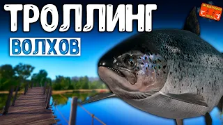 🔴 РР4/ рыбалка для души, ловим как универсал, общаемся 05.05.24