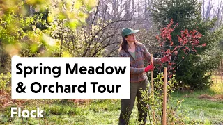 Early SPRING 2024 MEADOW, ORCHARD & WILDLIFE CORRIDOR Tour — Ep. 248