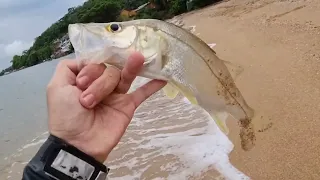 NUNCA DUVIDE DAS PEDRAS QUE ESTÃO NA BEIRA DA PRAIA. Pesca ultralight de praia com iscas artificiais