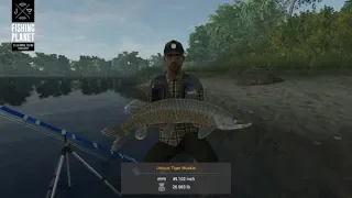 Fishing Planet - Saint-Croix Lake - Michigan - Unique Tiger Muskie