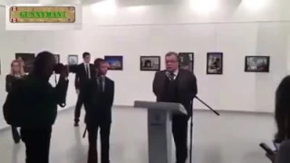 The Assassination  Of Russian Ambassador