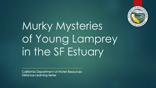 Murky Mysteries of Young Lamprey in the SF Estuary