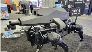 THEY’RE PUTTING GUNS ON ROBOT DOGS NOW