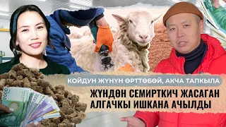 Сүйүнчү! Жүндөн жер семирткич жасала баштайт