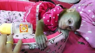 Baby Monkey Mori!!! Mori Look So Sad After Wake UP