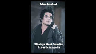Adam Lambert - Whataya Want From Me (Acoustic) Acapella