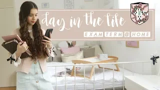 DAY IN THE LIFE OF A CAMBRIDGE UNIVERSITY LAW STUDENT | ONLINE EXAM TERM